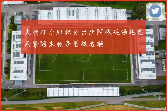 美洲杯小组积分出炉阿根廷领跑巴西紧随末轮争晋级名额